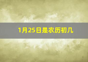 1月25日是农历初几