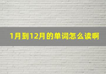 1月到12月的单词怎么读啊