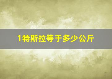 1特斯拉等于多少公斤