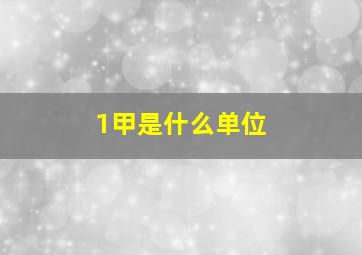 1甲是什么单位