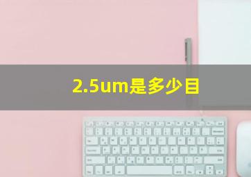 2.5um是多少目