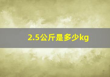 2.5公斤是多少kg