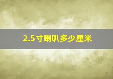 2.5寸喇叭多少厘米