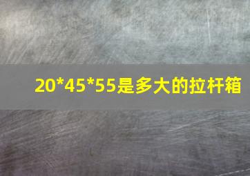 20*45*55是多大的拉杆箱