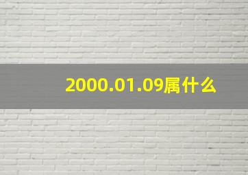 2000.01.09属什么