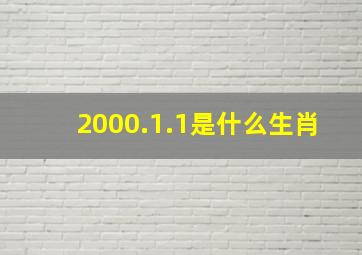 2000.1.1是什么生肖