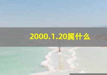 2000.1.20属什么