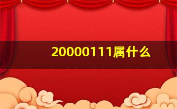 20000111属什么