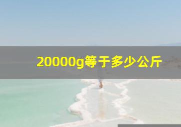 20000g等于多少公斤