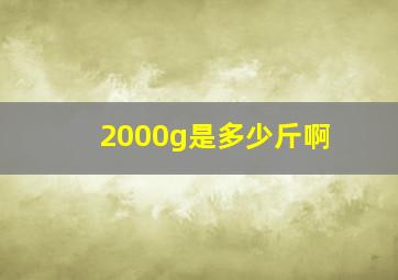 2000g是多少斤啊