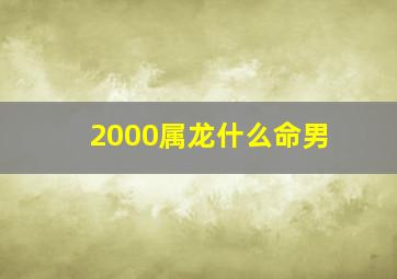 2000属龙什么命男