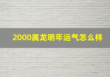 2000属龙明年运气怎么样