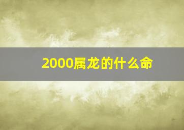 2000属龙的什么命