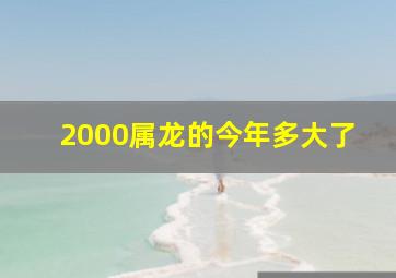 2000属龙的今年多大了