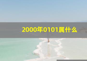 2000年0101属什么