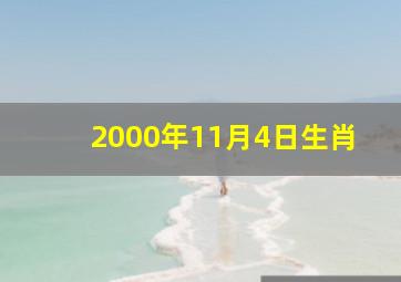 2000年11月4日生肖