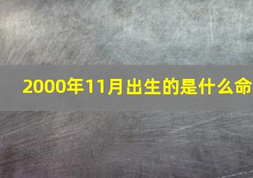 2000年11月出生的是什么命