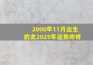 2000年11月出生的龙2025年运势咋样