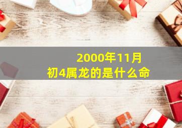 2000年11月初4属龙的是什么命