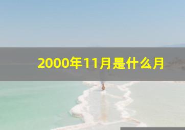 2000年11月是什么月