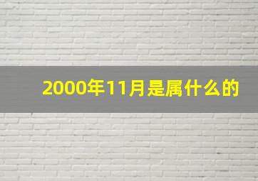 2000年11月是属什么的