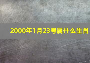 2000年1月23号属什么生肖