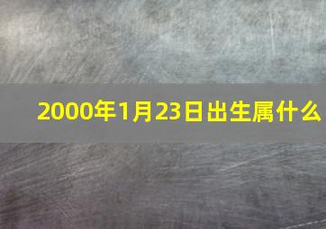 2000年1月23日出生属什么