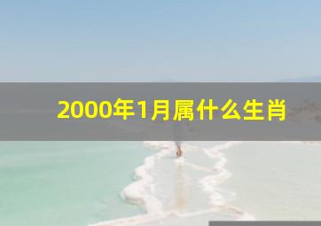 2000年1月属什么生肖