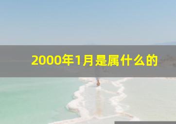 2000年1月是属什么的