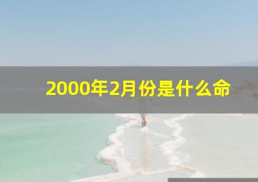 2000年2月份是什么命