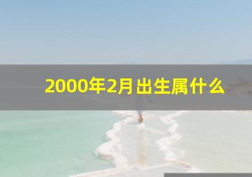 2000年2月出生属什么