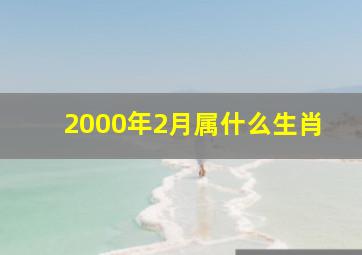 2000年2月属什么生肖