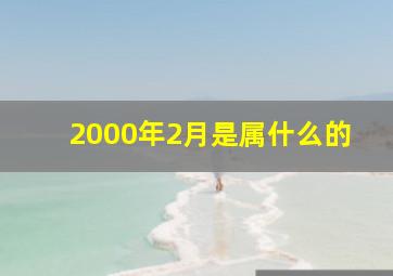 2000年2月是属什么的