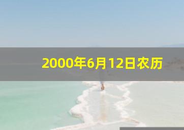 2000年6月12日农历