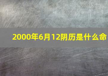 2000年6月12阴历是什么命