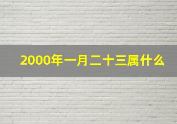 2000年一月二十三属什么