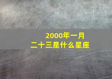 2000年一月二十三是什么星座