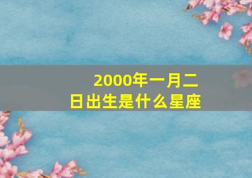 2000年一月二日出生是什么星座