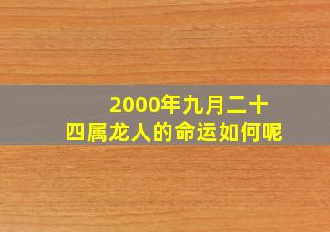 2000年九月二十四属龙人的命运如何呢