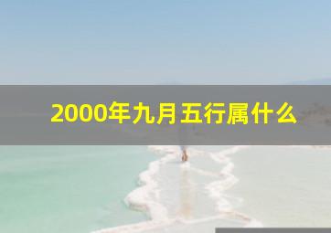 2000年九月五行属什么