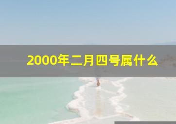 2000年二月四号属什么