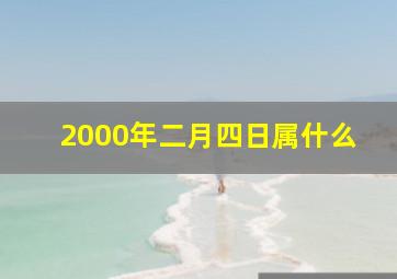 2000年二月四日属什么