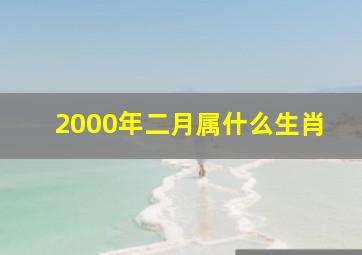 2000年二月属什么生肖