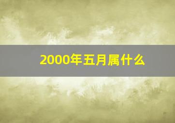 2000年五月属什么