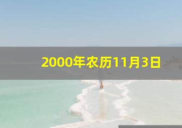 2000年农历11月3日