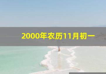 2000年农历11月初一