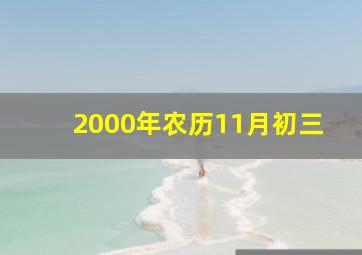 2000年农历11月初三