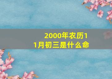 2000年农历11月初三是什么命