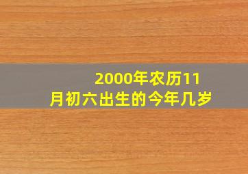 2000年农历11月初六出生的今年几岁