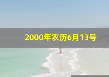 2000年农历6月13号